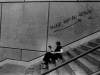 'Lettrice su scalinata' (Ginevra)