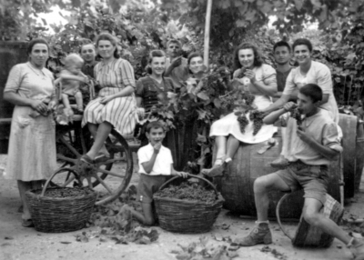 'Vendemmia', Versiola, anni '40