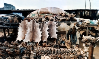 'Mercato dei feticci', Lomè, Togo