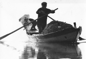 foto copertina la ballata di temi